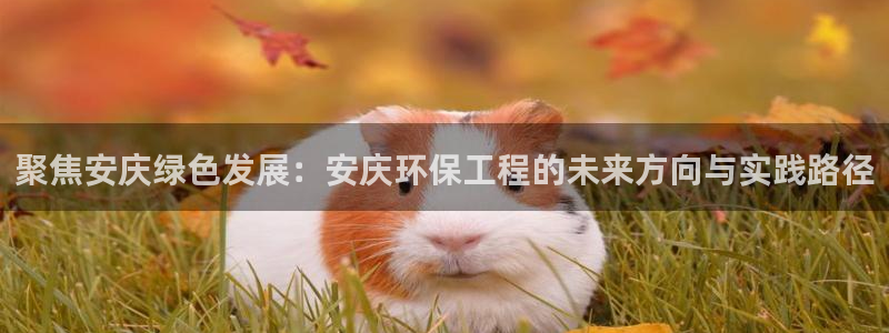 彩名堂为什么打不开：聚焦安庆绿色发展：安庆环保工程的未来方向