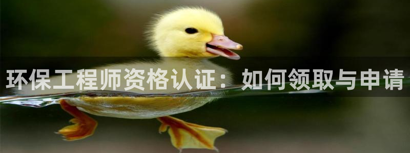 彩名堂幸运飞船计划：环保工程师资格认证：如何领取与申请
