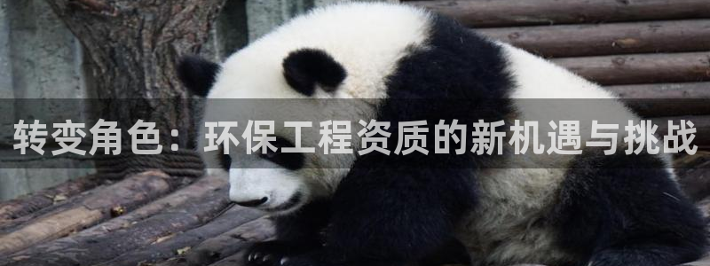 彩名堂客户端是永久免费吗：转变角色：环保工程资质的新机遇与挑