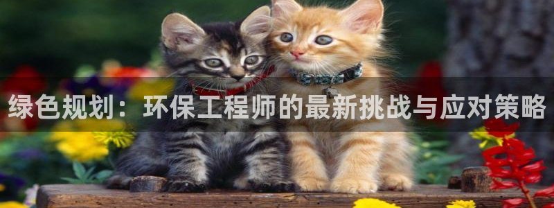 彩名堂一直不出结果怎么回事儿：绿色规划：环保工程师的最新挑战