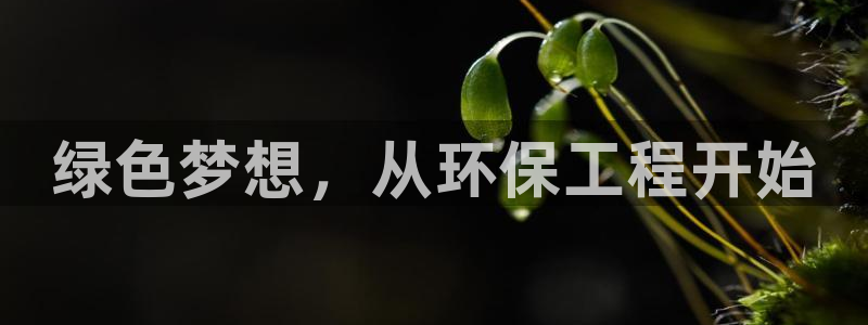 彩名堂预测计划软件：绿色梦想，从环保工程开始