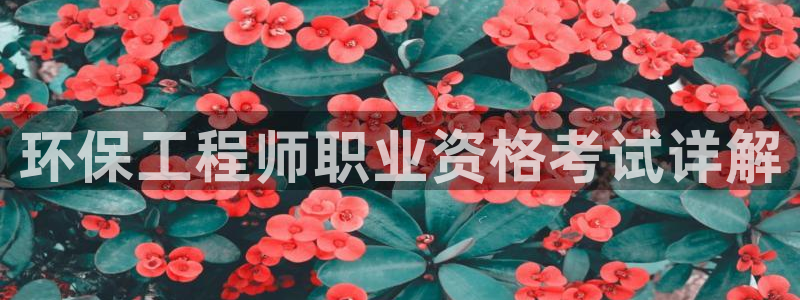 彩名堂好用还是千里马好用一点：环保工程师职业资格考试详解