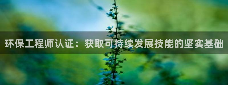 彩名堂彩：环保工程师认证：获取可持续发展技能的坚实基础