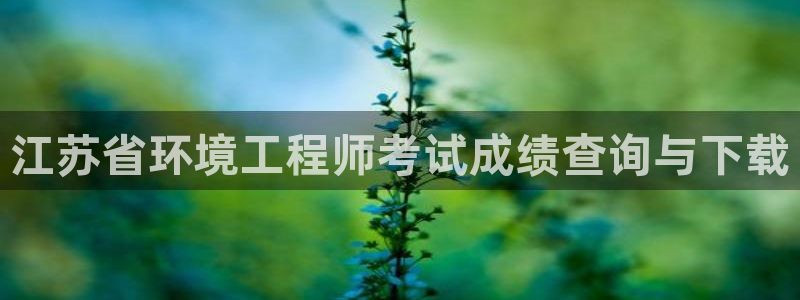 彩名堂计划软件下载：江苏省环境工程师考试成绩查询与下载