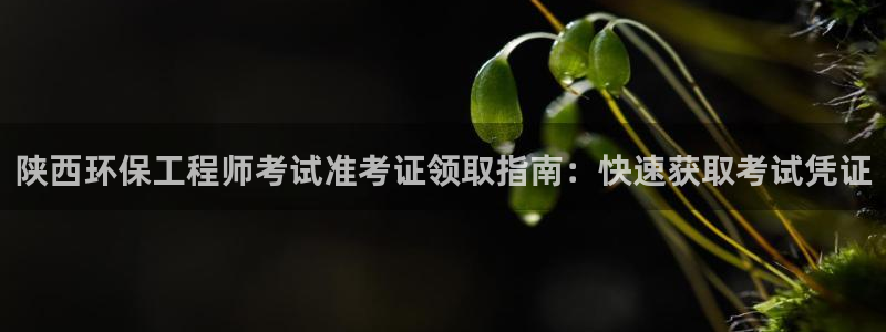 彩名堂使用方法：陕西环保工程师考试准考证领取指南：快速获取考