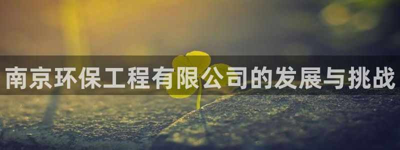 彩名堂怎么用不输：南京环保工程有限公司的发展与挑战