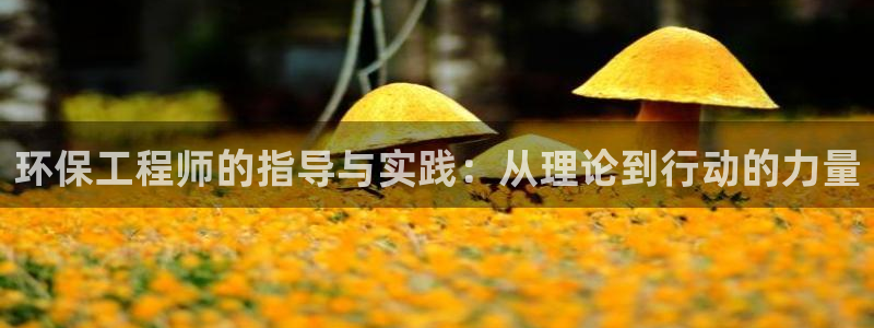 彩名堂一直不出结果怎么回事儿：环保工程师的指导与实践：从理论