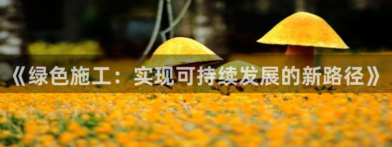 彩名堂客户端是永久免费吗是真的吗安全吗：《绿色施工：实现可持