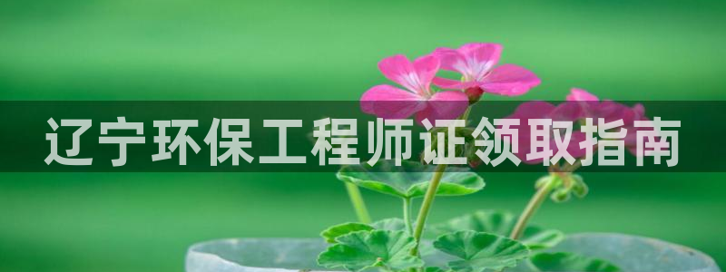 彩名堂好用还是千里马好用一点：辽宁环保工程师证领取指南