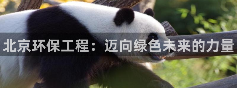 彩名堂官方平台：北京环保工程：迈向绿色未来的力量