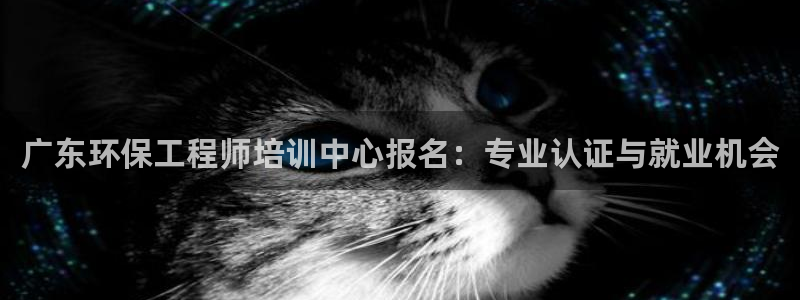 彩名堂预测计划：广东环保工程师培训中心报名：专业认证与就业机