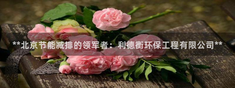 彩名堂人工计划客户端：**北京节能减排的领军者：利德衡环保工