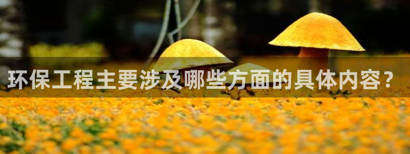 彩名堂移动客户端：环保工程主要涉及哪些方面的具体内容？