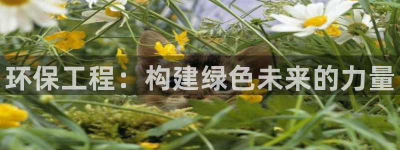 彩名堂app2.05版本：环保工程：构建绿色未来的力量