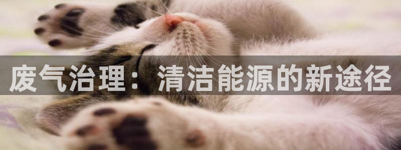 彩名堂app官方下载：废气治理：清洁能源的新途径