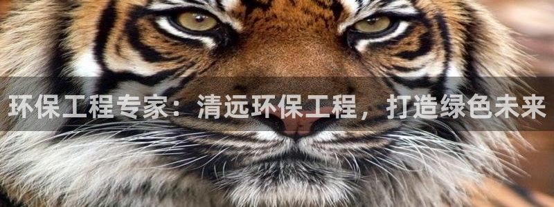 彩名堂计划官方客服：环保工程专家：清远环保工程，打造绿色未来