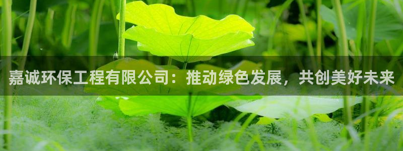 彩名堂免费计划官网怎么进不去了呢：嘉诚环保工程有限公司：推动
